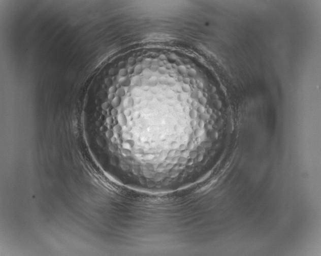 X0000073471401200608111524