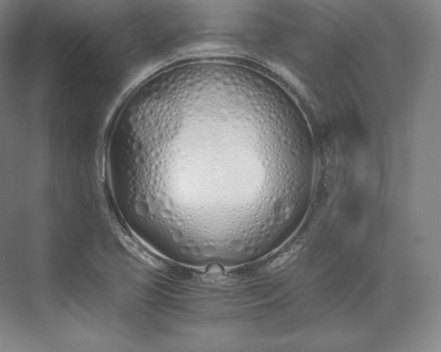 X0000073471413200608111524