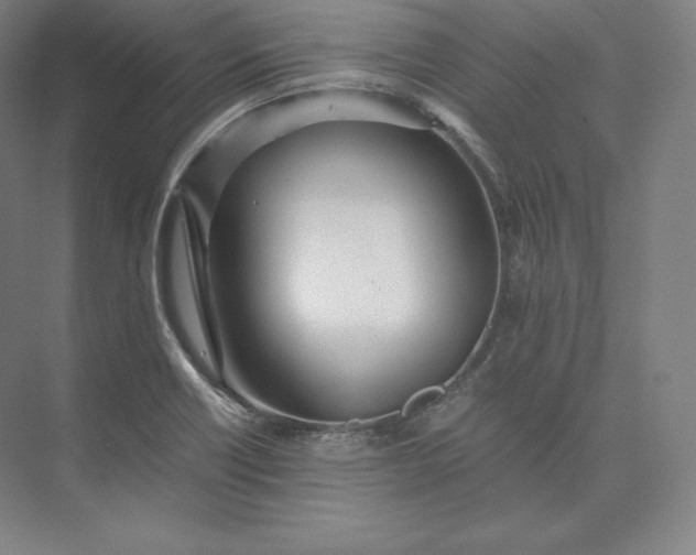 X0000073471418200608111524