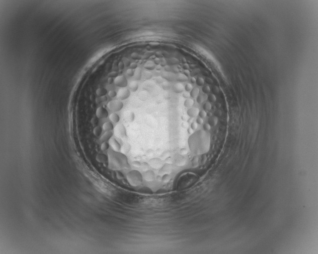 X0000073471419200608111524