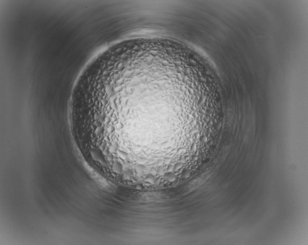 X0000073471421200608111524