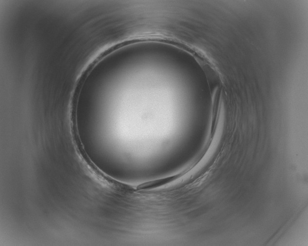 X0000073471422200608111524