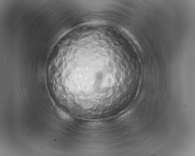 X0000073471425200608111524