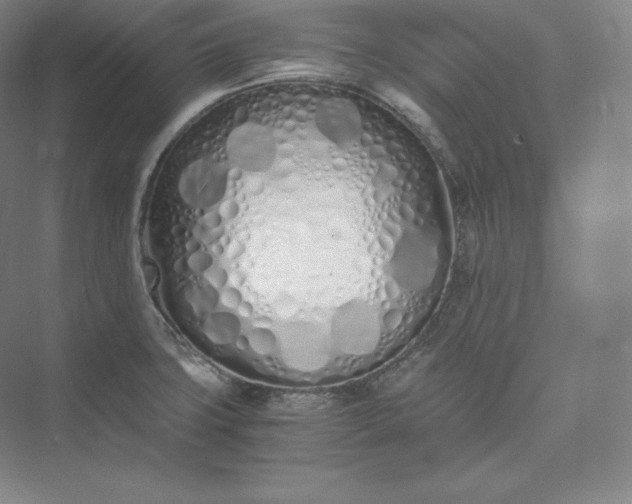 X0000073471427200608111524