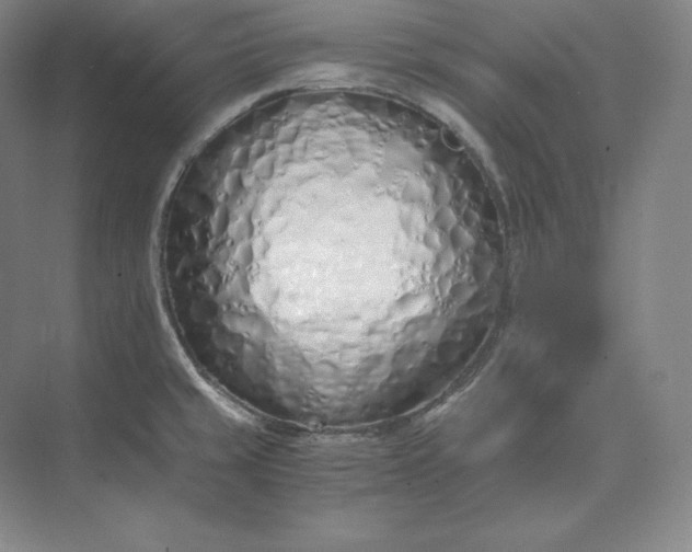 X0000073471429200608111524