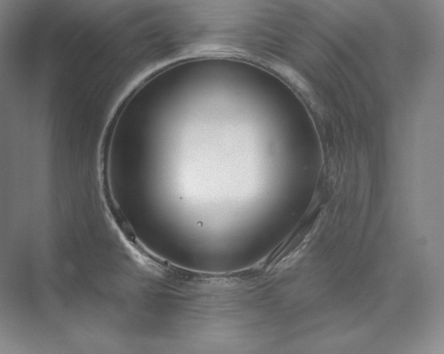 X0000073471430200608111524