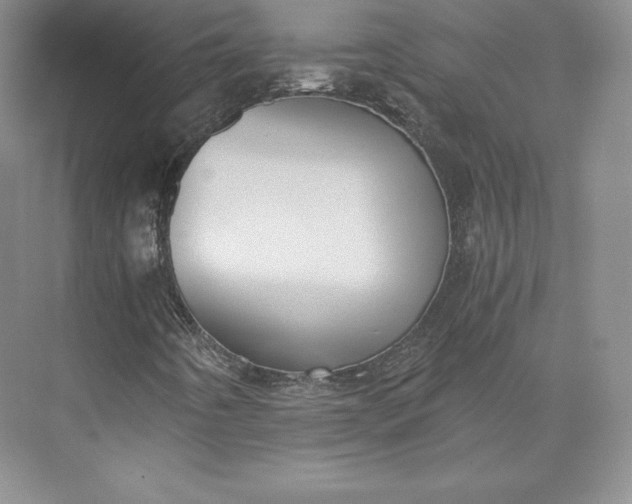 X0000073471442200608111524