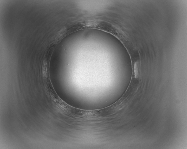 X0000073471443200608111524