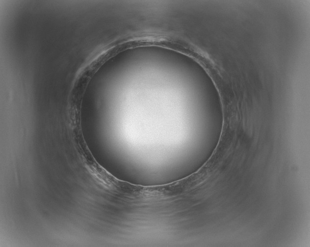 X0000073471448200608111523