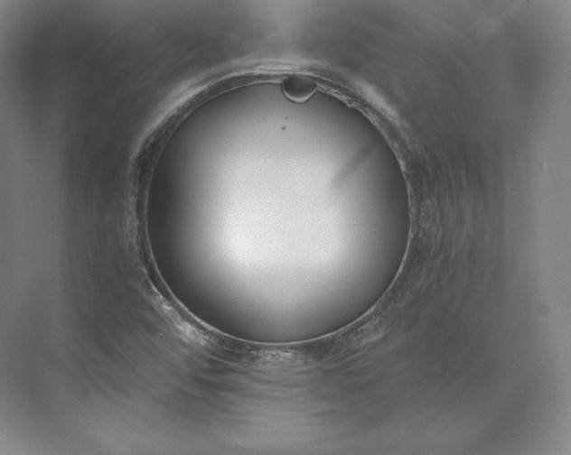 X0000073471456200608111523