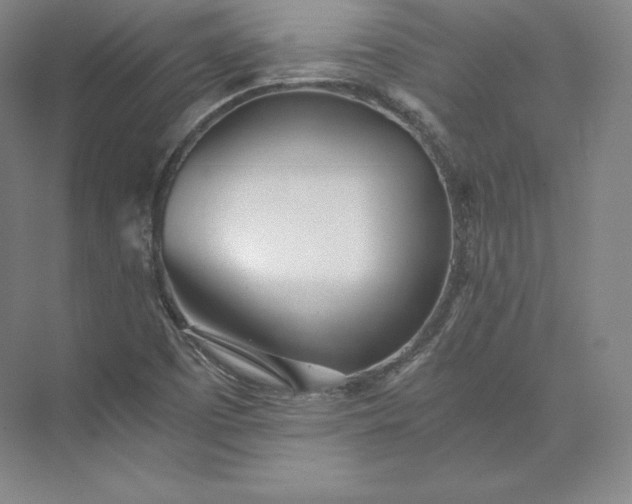 X0000073471457200608111523