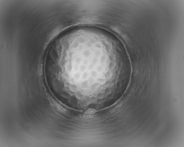 X0000073471459200608111523