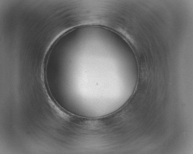 X0000073471468200608111523