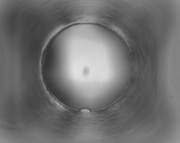 X0000073471480200608111523