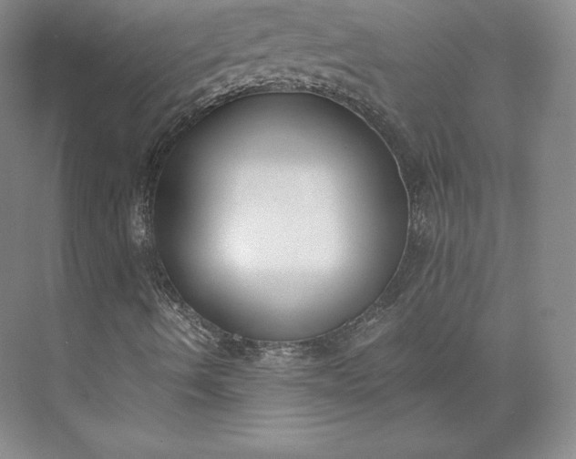 X0000073471490200608111522