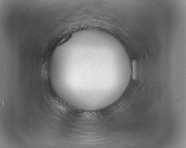 X0000073471491200608111522