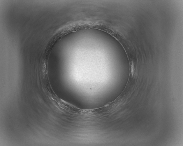 X0000073471492200608111522