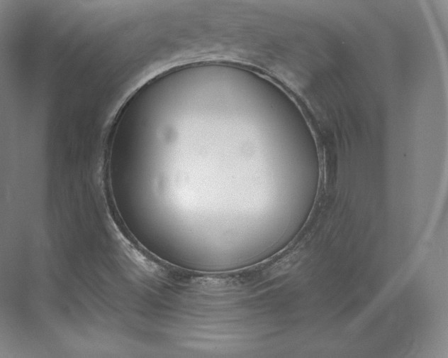 X0000073471500200608111522