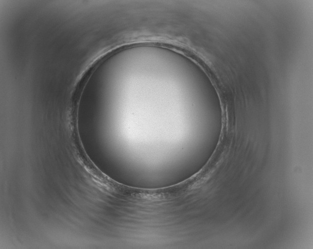X0000073471501200608111522