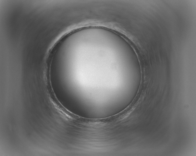 X0000073471502200608111522