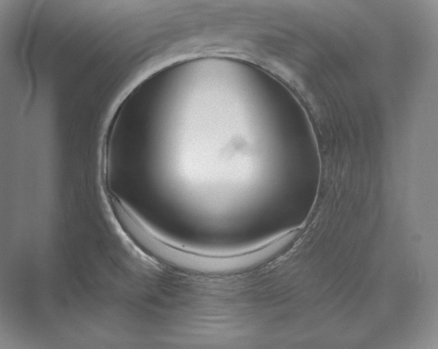 X0000073471520200608111523
