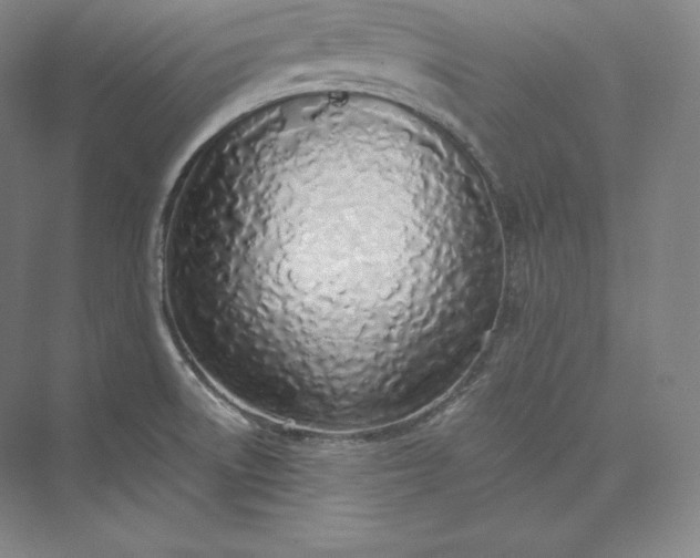 X0000073471522200608111523