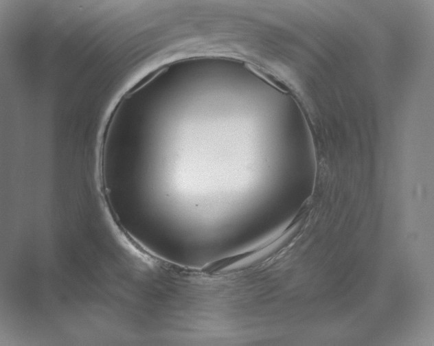 X0000073471528200608111523