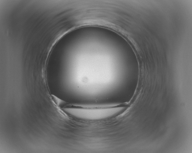 X0000073471529200608111523
