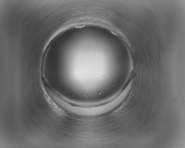 X0000073471530200608111523