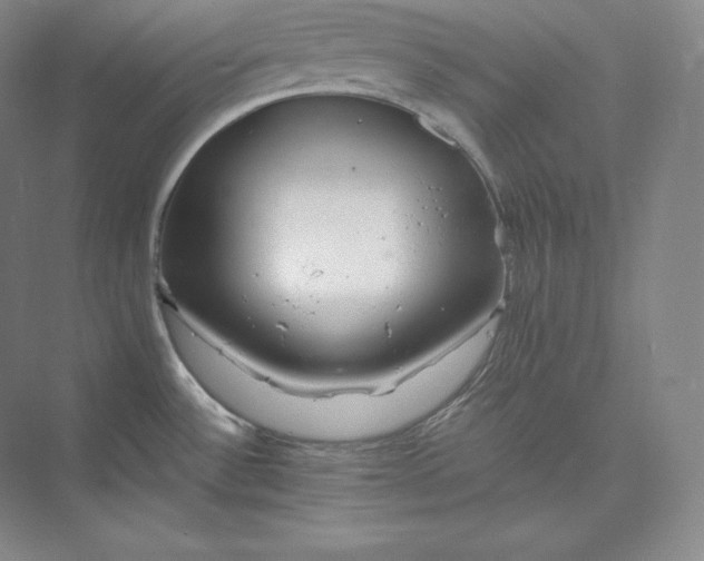 X0000073471532200608111523