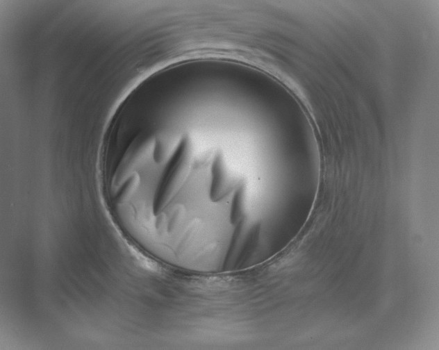 X0000073471533200608111523