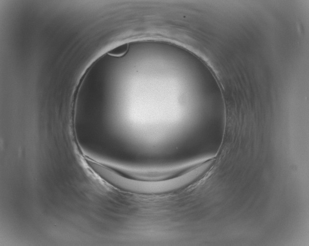 X0000073471534200608111523