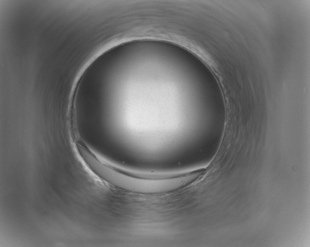 X0000073471536200608111523