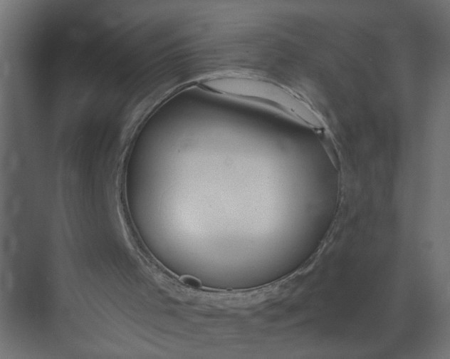 X0000073470001200608181343
