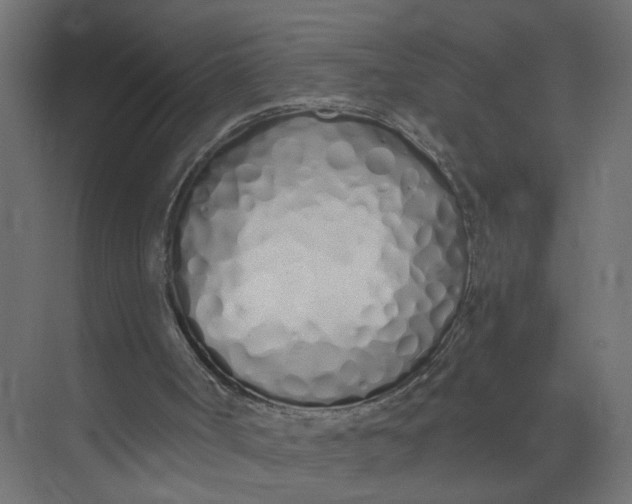 X0000073470002200608181343