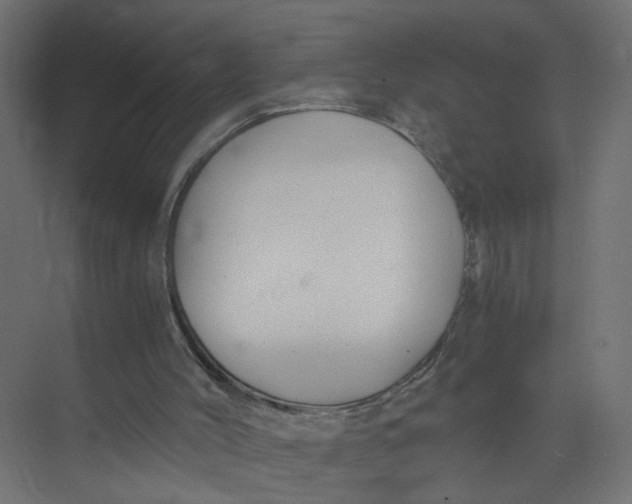 X0000073470004200608181343
