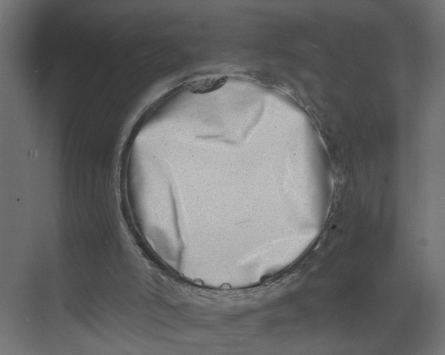 X0000073470006200608181343