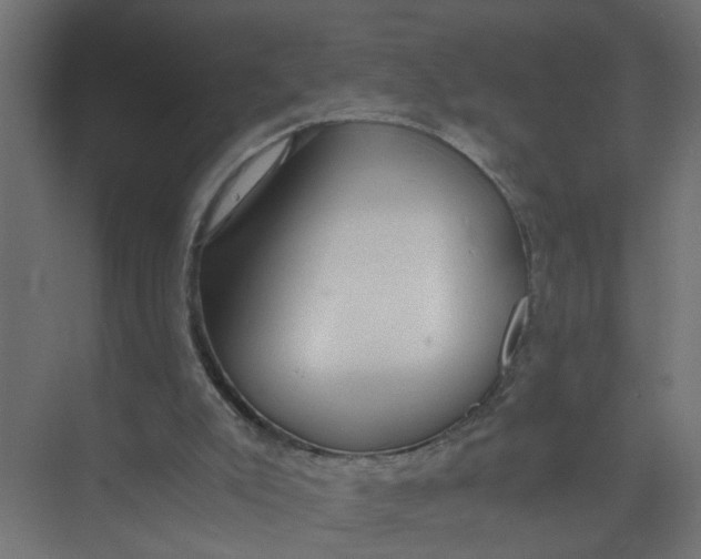 X0000073470007200608181343