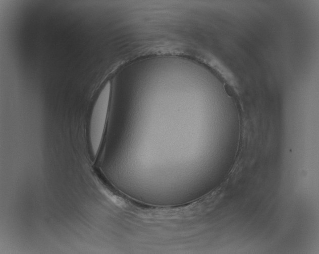 X0000073470009200608181343