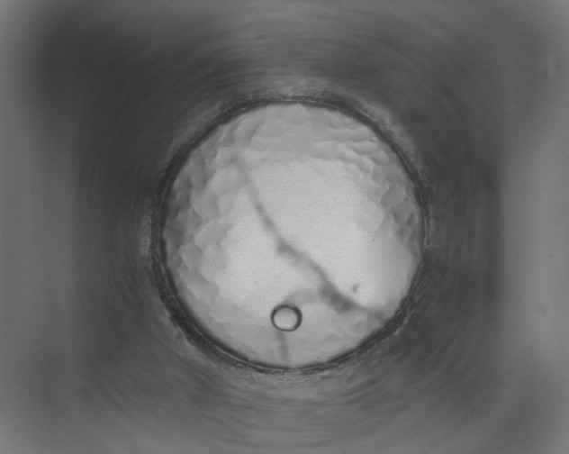 X0000073470010200608181343