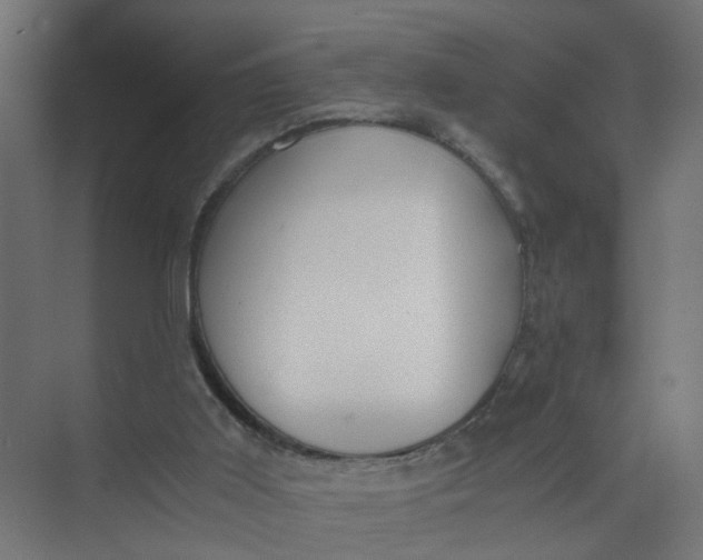 X0000073470011200608181343