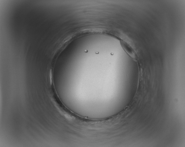 X0000073470013200608181343