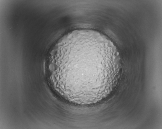 X0000073470014200608181343