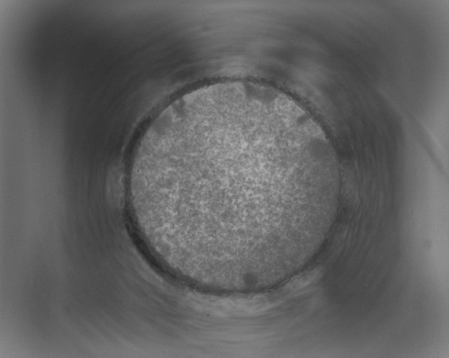 X0000073470016200608181343