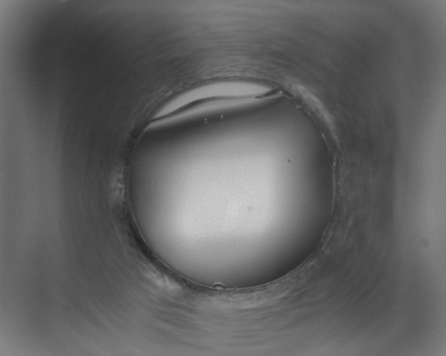 X0000073470017200608181343