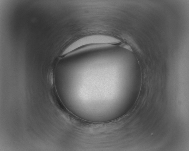 X0000073470021200608181343