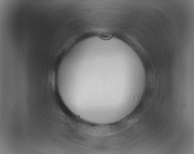 X0000073470024200608181343