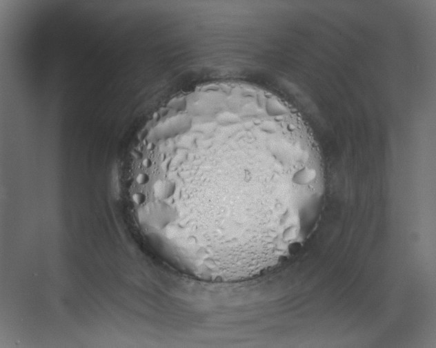 X0000073470026200608181342