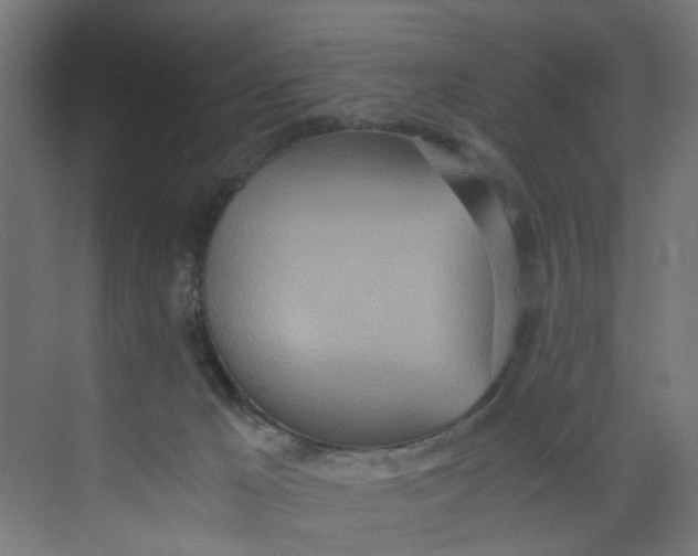 X0000073470029200608181342