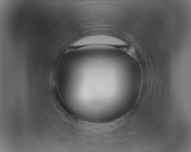 X0000073470031200608181342